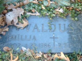 Emilija Valduss Emilija Valduss
