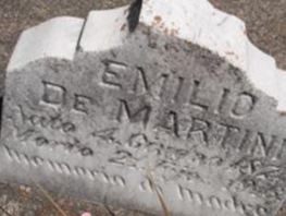 Emilio Demartini Emilio Demartini
