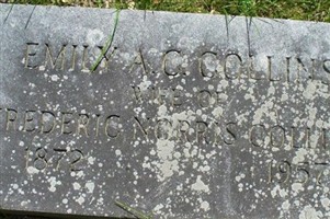 Emily A Heffernan Collins Emily A Heffernan Collins