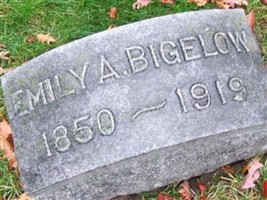 Emily A Powers Bigelow