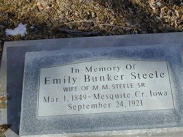 Emily Bunker Steele