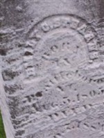 Emily C Stearns