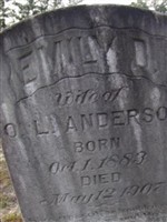 Emily Darling Hurst Anderson