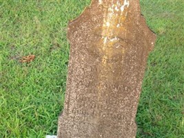 Emily J. Ewing