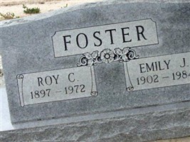 Emily J Foster Emily J Foster