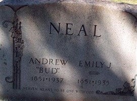 Emily Jane Canter Neal