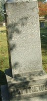 Emily L Matthews