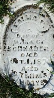 Emma C Schrader