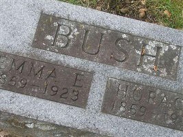 Emma Electa Hoy Bush