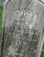 Emma N Gibbs