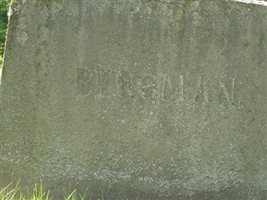 Emma Paulina Nilsson Bergman