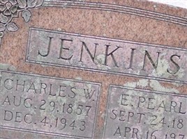 Emma Pearle Gillespie Jenkins Emma Pearle Gillespie Jenkins