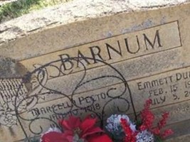 Emmett Dudley Barnum