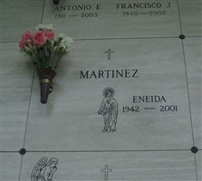 Eneida Martinez