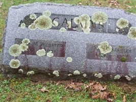 Enna M. Webster Calkins Enna M. Webster Calkins