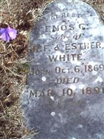 Enos C White