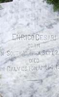 Enrico Cesari