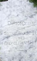 Enrico Cesari Enrico Cesari