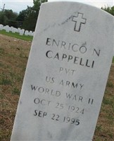 Enrico N Cappelli