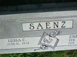 Enrique Saenz Enrique Saenz