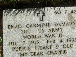Enzo Carmine Demaio