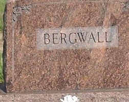 Eric Bergwall