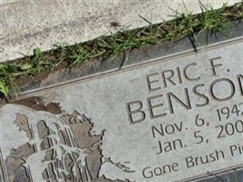 Eric F Benson