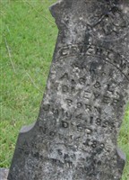 Erich L. W. Homeyer