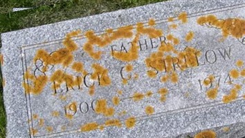 Erick C Strelow