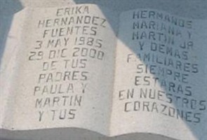 Erika Fuentes Hernandez