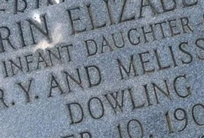 Erin Elizabeth Dowling Erin Elizabeth Dowling