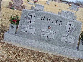 Erin Elizabeth White Erin Elizabeth White