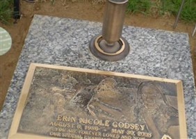 Erin Nicole Godsey