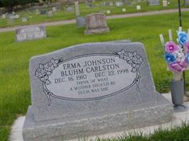 Erma Johnson Bluhm Carlston