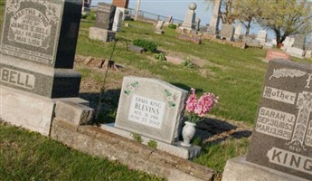 Erma King Blevins Erma King Blevins