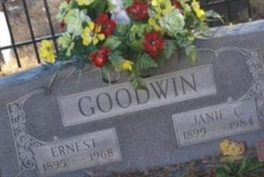 Ernest Goodwin