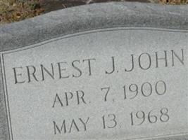 Ernest James Johns