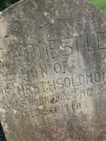 Ernest Lee Solomon