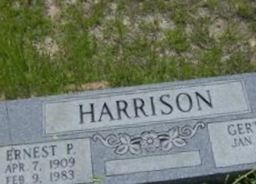 Ernest P Harrison Ernest P Harrison