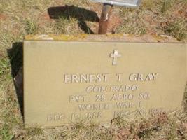 Ernest T Gray