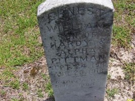 Ernest William Pittman Ernest William Pittman