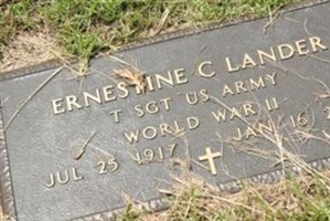 Ernestine C Lander