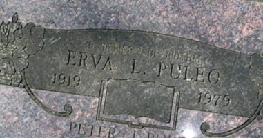 Erva L. Puleo Erva L. Puleo