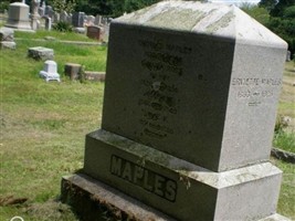 Erviette Maples