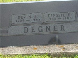 Ervin J Degner