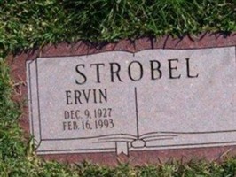 Ervin Strobel Ervin Strobel