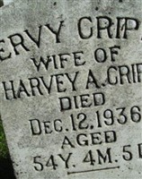 Ervy Cripe