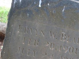 Ervyn W Blair