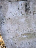 Ess Williams Ess Williams