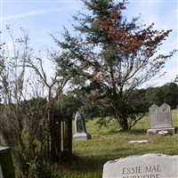 Essie Mae Burnside BLITCH